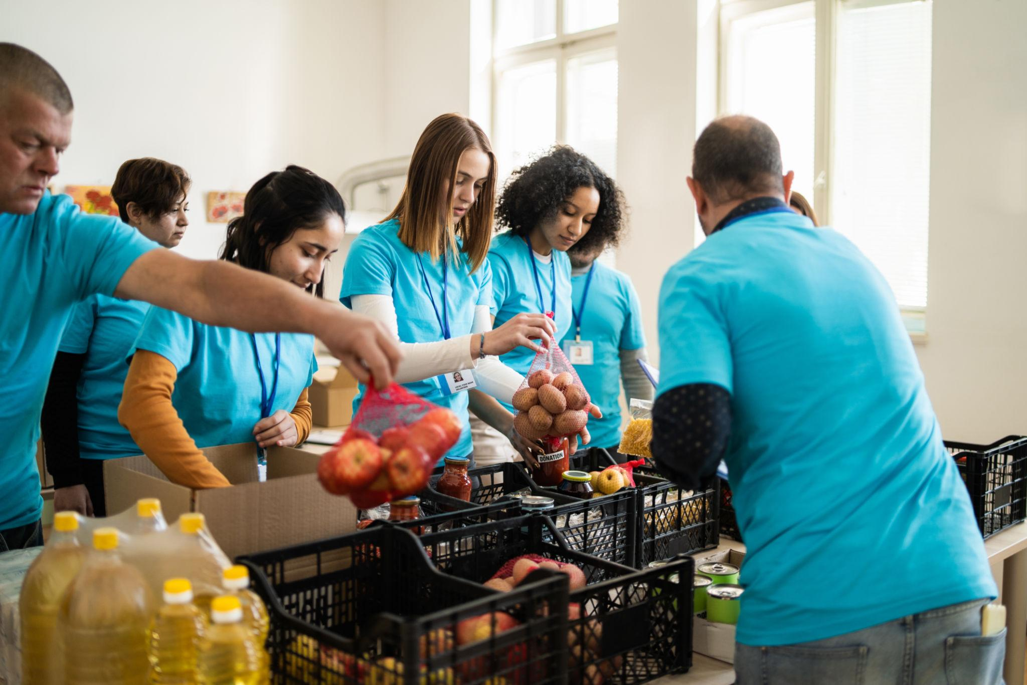 Alimentación y Nutrición Infantil